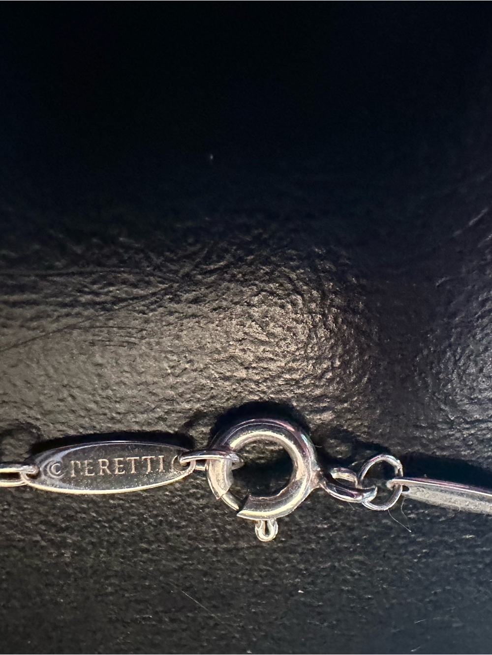 AUTHENTIC Tiffany & Co. Peretti .17 Diamonds by the Yard 16” Silver Pendant - Picture 8 of 15